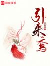 引朱鸾